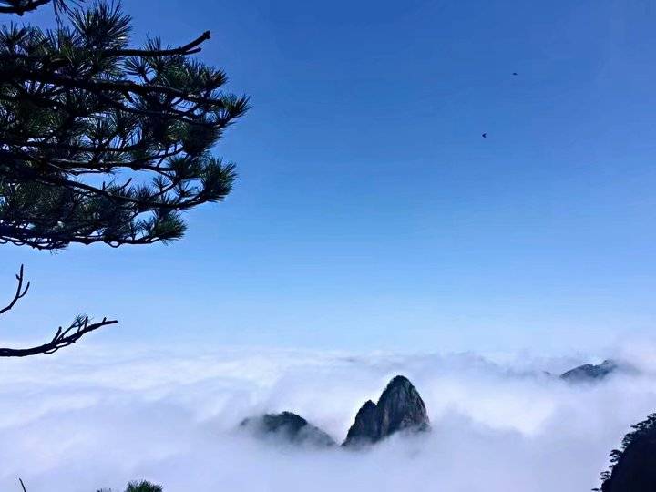 《黄山之旅》这真的只是抛砖引玉,更美的在后面